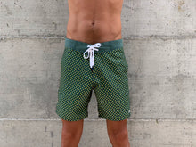Load image into Gallery viewer, Browne Thomaz Barberino Boardshorts